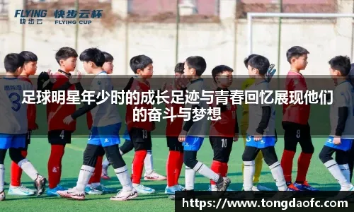 《真三国无双：英杰传》公布 全新的策略类游戏